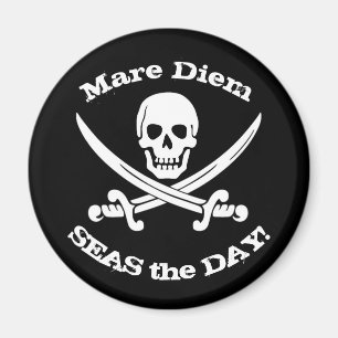 Zeeen de Dag van Pirate Magnet Magneet