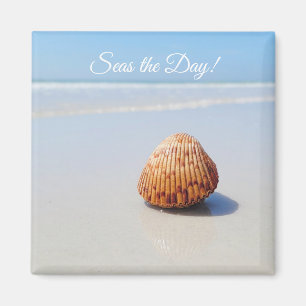 Zeeen de strandseashell van de Dag Magneet