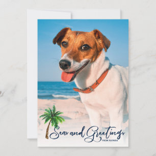 Zeeen en groeten Kustkerst 3-fotokaart Feestdagenkaart