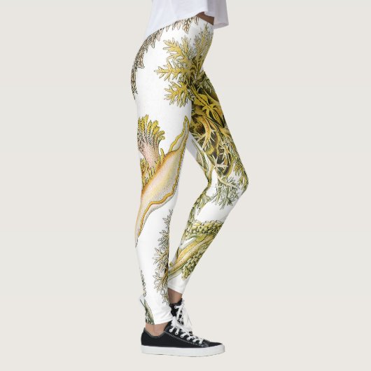 Zeeen naaktslakken van Ernst Haeckel, Nudibranchi Leggings (Rechts)