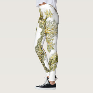 Zeeen naaktslakken van Ernst Haeckel,  Nudibranchi Leggings