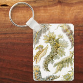 Zeeen naaktslakken van Ernst Haeckel,  Nudibranchi Sleutelhanger (Voorkant)