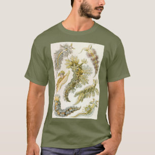 Zeeen naaktslakken van Ernst Haeckel,  Nudibranchi T-shirt