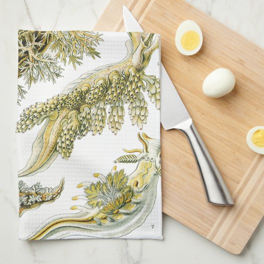 Zeeen naaktslakken van Ernst Haeckel, Nudibranchi Theedoek (Quarter Fold)