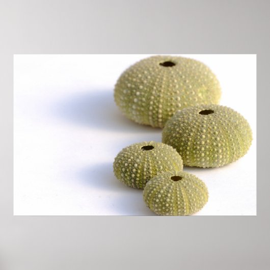 Zeeen poster (Voorkant)