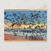 , Zeeen, Rehoboth Beach, Delaware Briefkaart (Voorkant)