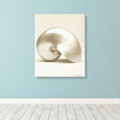 Zeeen schelp van geparelde nautilus canvas afdruk (Insitu (Houten vloer))
