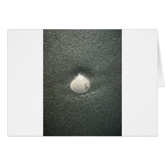 Zeeen schelpen Hakuna Matata.JPG (Voorkant Horizontaal)