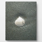 Zeeen schelpen Hakuna Matata.JPG Fotoplaat (Voorkant)