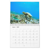 Zeeen schildpad kalender (Mar 2027)