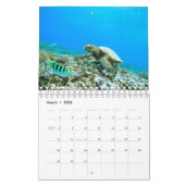 Zeeen schildpad kalender (Mar 2026)