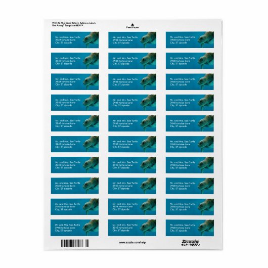 zeeen schildpad label (Full Sheet)