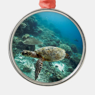 Zeeen schildpad onderwater Raja Ampat Metalen Ornament