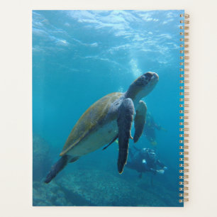 Zeeen schildpadden en reptielen fotografie van wil planner