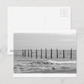 zeeen slokken op het strand briefkaart (Voorkant / Achterkant)