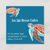 Zeeen Visitekaartjes geïllustreerd (Voorkant)