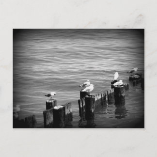 zeegarens briefkaart