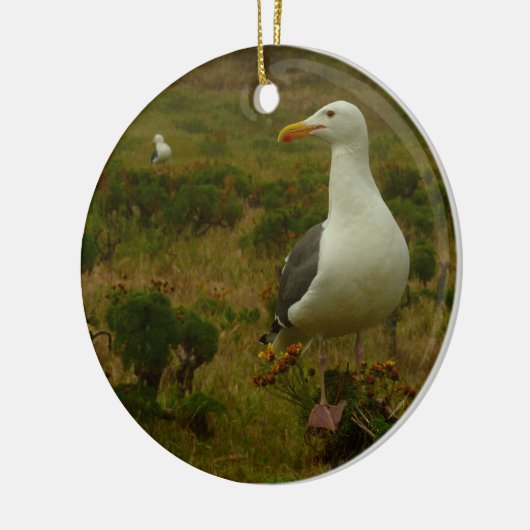 Zeegarren op het eiland Anacapa Keramisch Ornament (Links)