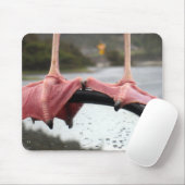 Zeegelaar Feet Muismat (Met muis)