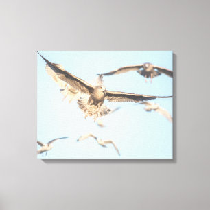 Zeegelaars op foto van de natuur tijdens de vlucht canvas afdruk