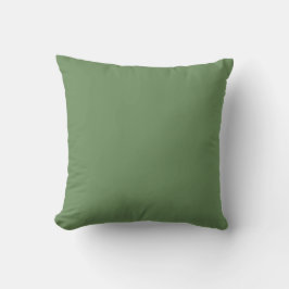 Zeeglas groene effen kleur minimalistisch ontwerp kussen