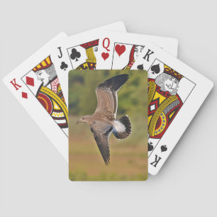 Zeegleepenkaarten Pokerkaarten