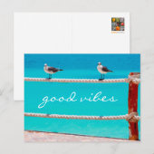 Zeegmeeuw vogels foto goed vibes script citaat briefkaart (Voorkant / Achterkant)