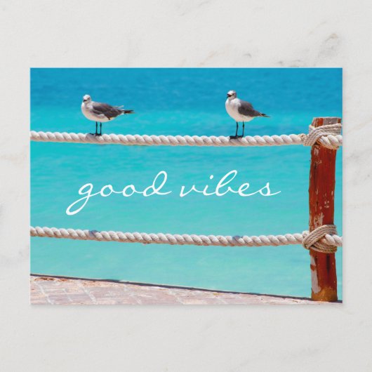 Zeegmeeuw vogels foto goed vibes script citaat briefkaart (Voorkant)