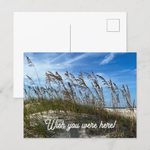 "Zeehaver" ansichtkaart Briefkaart