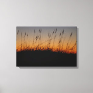 Zeehaver en duinen bij zonsondergang canvas afdruk