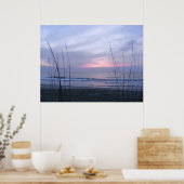 Zeehaver en zonneschijn poster (Keuken)