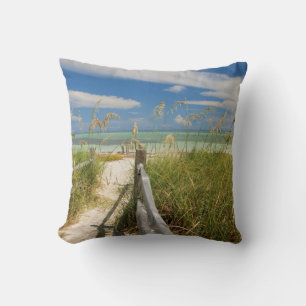 Zeehaver Uniola paniculata) groeiend bij het stran Kussen