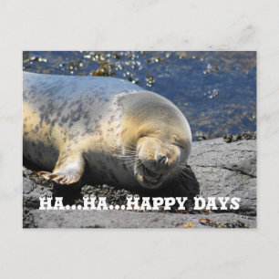 zeehond, Ha... Ha.. Happy Days briefkaart