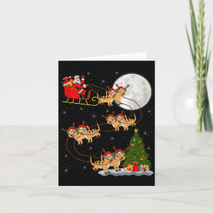 Zeehond Kerstman slee Kerstman Vliegen Grappig Mag Kaart