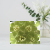 zeehond van solomon briefkaart (Staand voorkant)