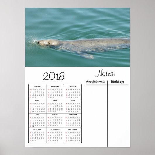 Zeehond Zwemmen Foto 2018 Kalender Poster (Voorkant)