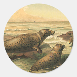 Zeehonden door de Oceaan, Wilde Dieren Ronde Sticker
