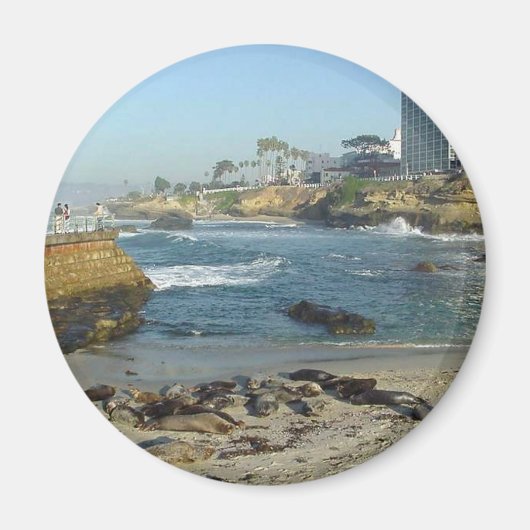 Zeehonden op zand in La Jolla Cove Magneet (Voorkant)
