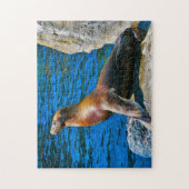 Zeehonden Robbeneiland Florida. Legpuzzel (Verticaal)