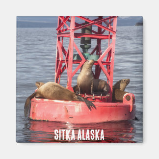 Zeehonden - Sitka Alaska Magnet Magneet