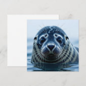 Zeehondje Close-up (Voorkant / Achterkant)