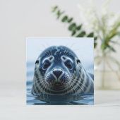 Zeehondje Close-up (Staand voorkant)