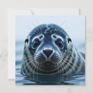 Zeehondje Close-up