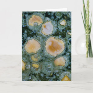 Zeejasper Kaart