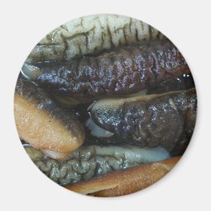 Zeekomkommer ... Yaowarat Markt Eten Magneet