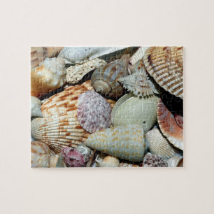Zeekuilen verzameld op het strand van Sanibel Isla Legpuzzel