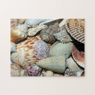 Zeekuilen verzameld op het strand van Sanibel Isla Legpuzzel