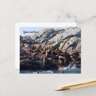 Zeeleeuw Briefkaart