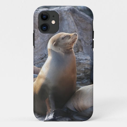 Zeeleeuw Case-Mate iPhone Case (Achterkant)