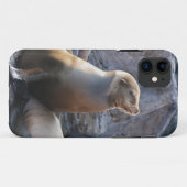 Zeeleeuw Case-Mate iPhone Case (Achterkant (horizontaal))